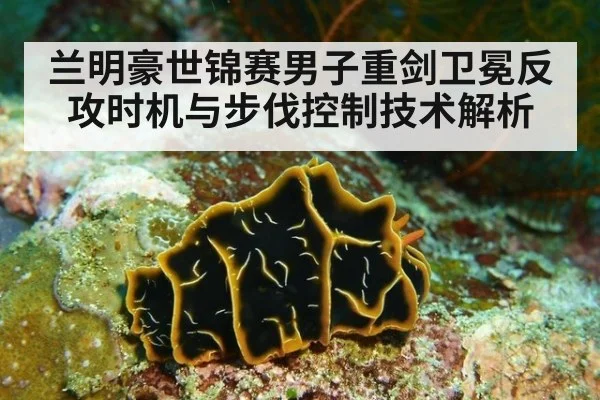 兰明豪世锦赛男子重剑卫冕反攻时机与步伐控制技术解析（kaiyun sports）
